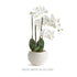 Avani Pot Large - View 4