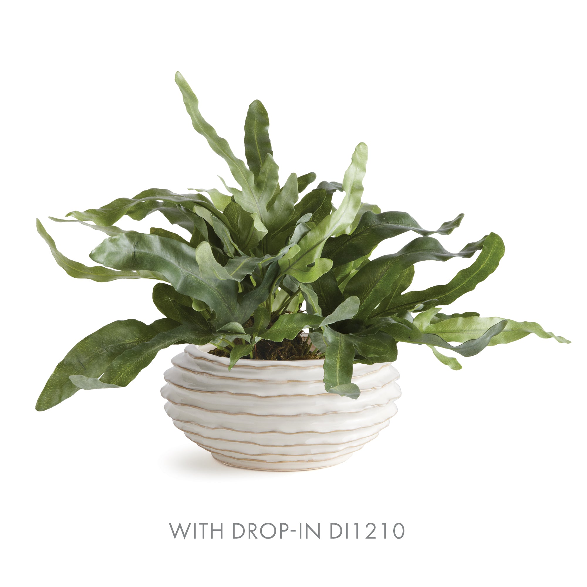Avani Decorative Bowl - View 6
