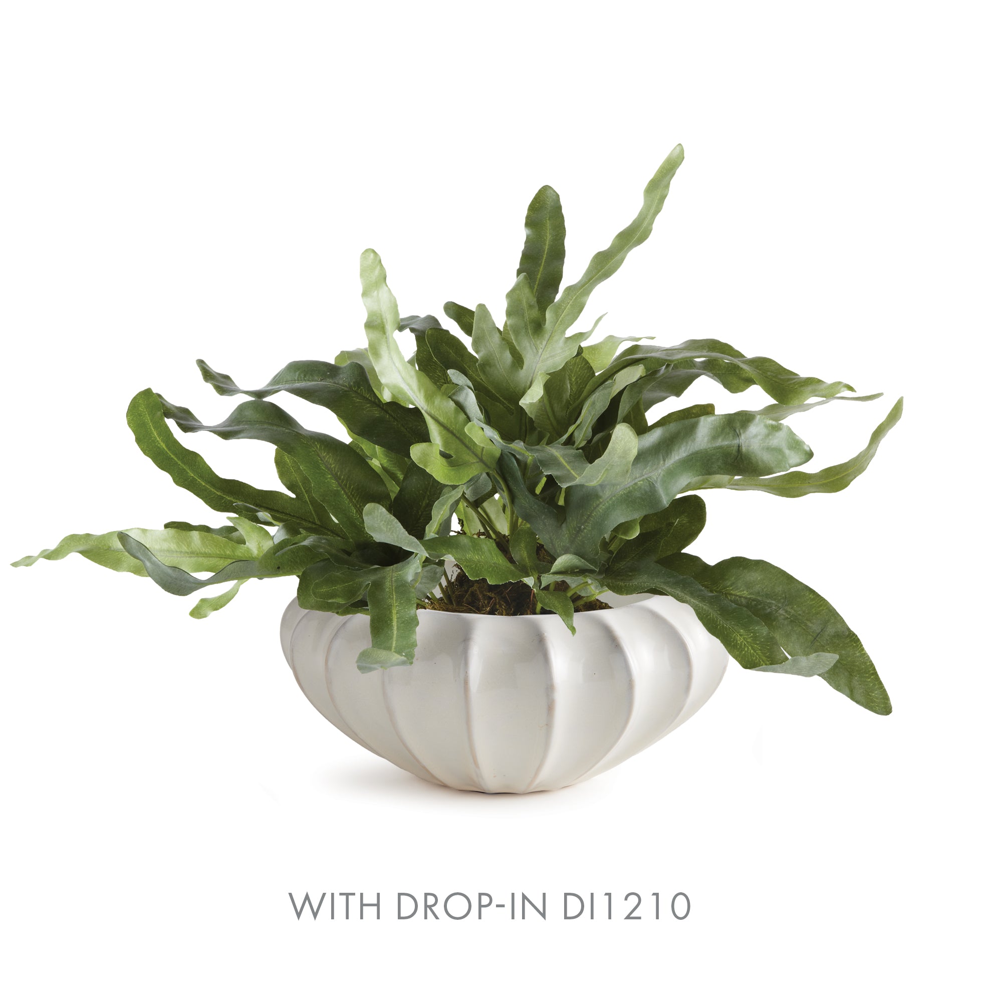 BLECKLYN DECORATIVE BOWL LARGE - view 5