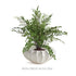 BLECKLYN DECORATIVE BOWL LARGE - view 4