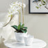 MARIBELLA CACHEPOTS, SET OF 2 - view 4
