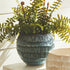 Vista Pot - View 4