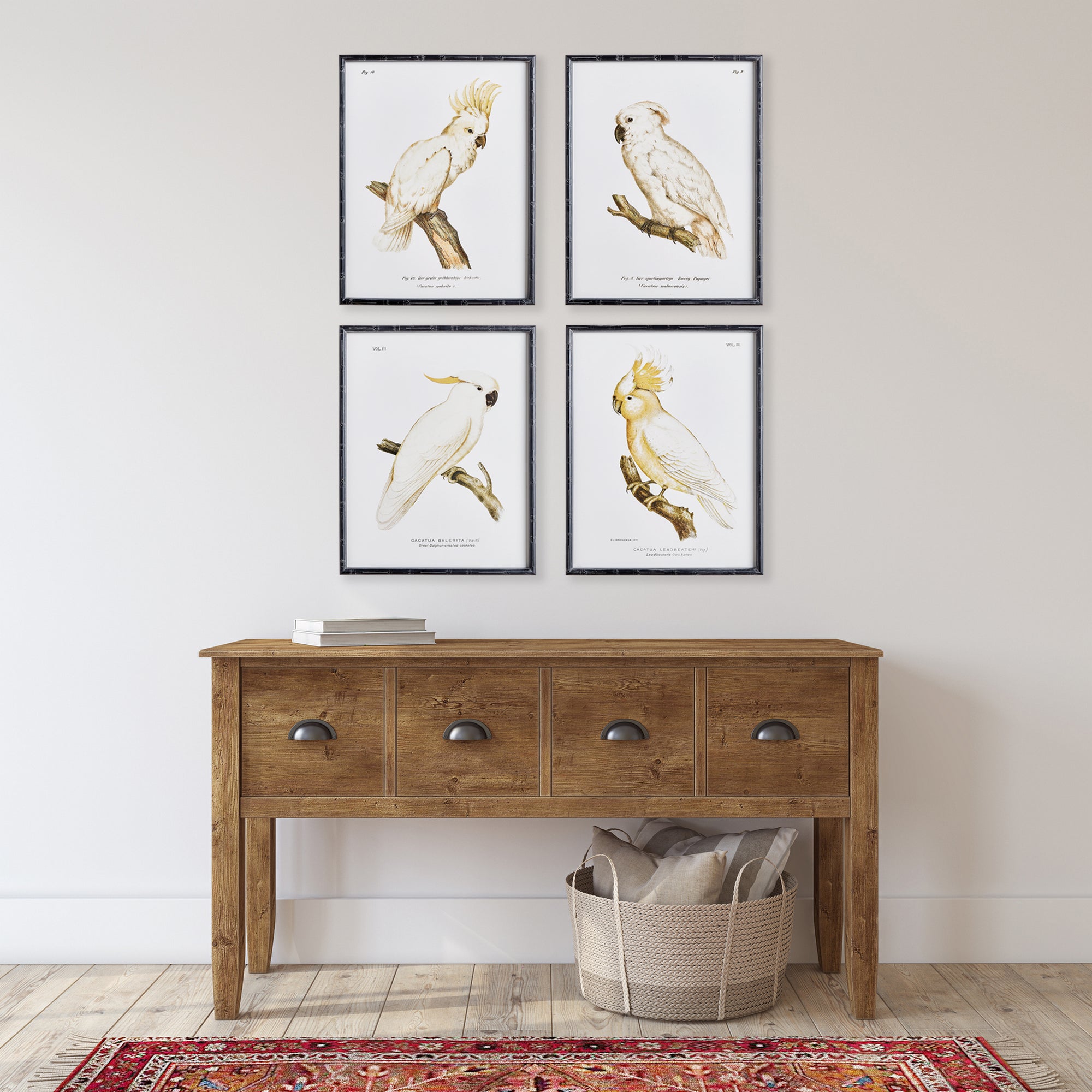Parrot Study In White, Set Of 4 - View 3