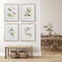 HUMMINGBIRDS WITH BLUSH BLOOMS, SET OF 4 - view 4