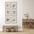 Classic Flower And Leaf Study, Set Of 6 - View 3