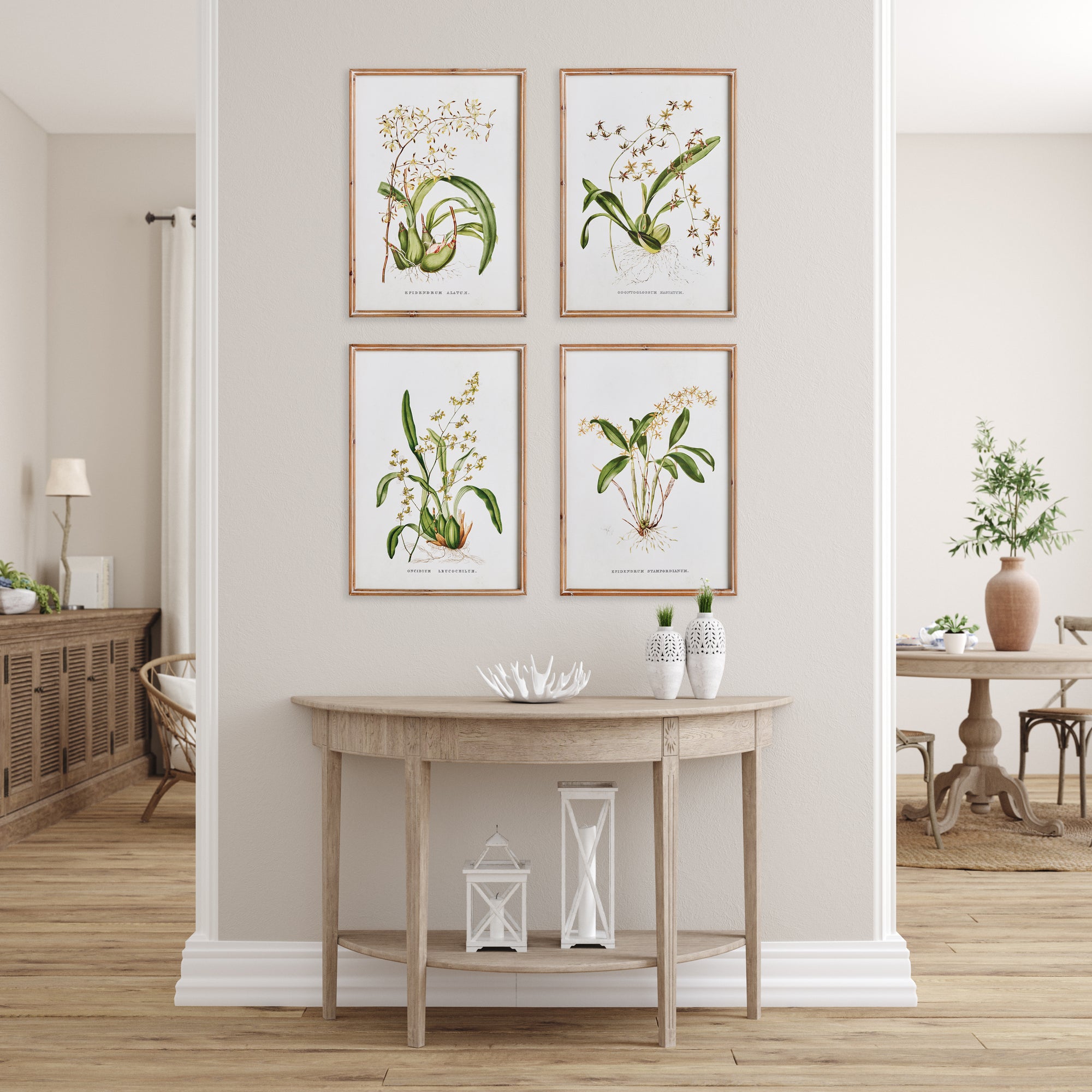 Orchid Assortment Study, Set Of 4 - View 3