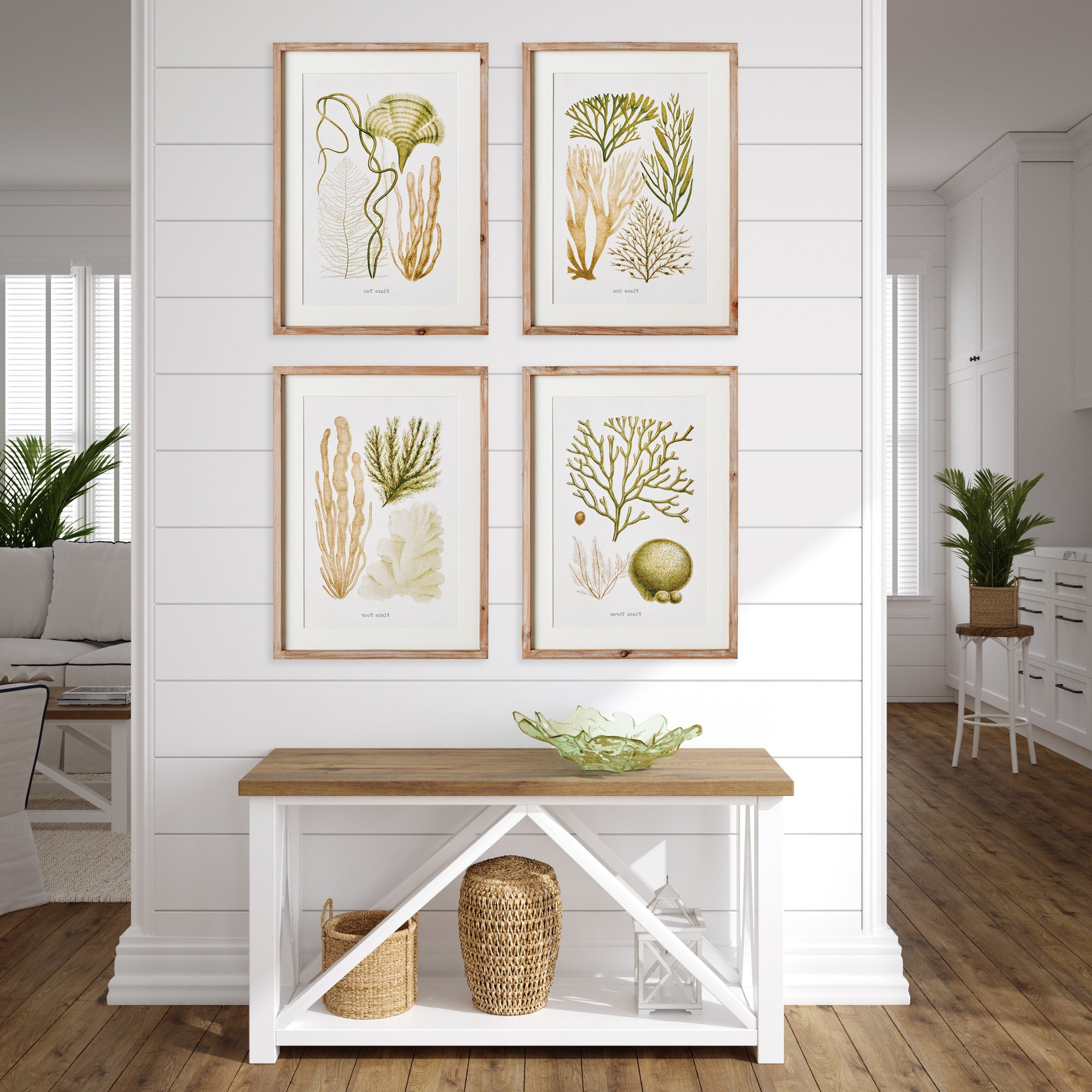 Verdant Coral Study, Set Of 4 - View 3