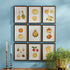 ASSORTED FRUITS STUDY, SET OF 9 - view 3