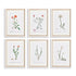 FLOWER STUDIES IN SHADES OF BLUSH, SET OF 6