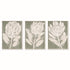Protea Triptych Hand-Embellished Giclees, Set Of 3