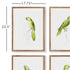 PARROT ILLUSTRATIONS IN GREEN, SET OF 4 - view 3