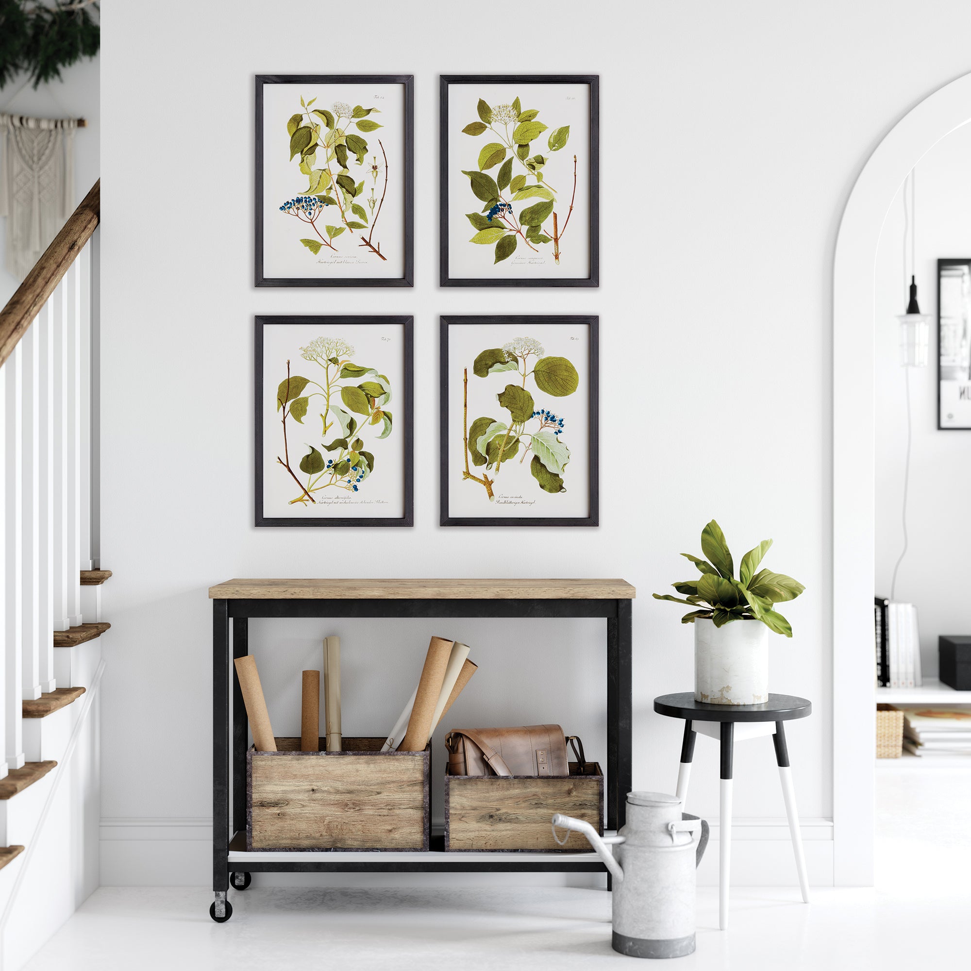FLORAL AND BERRY STUDY, SET OF 4 - view 4
