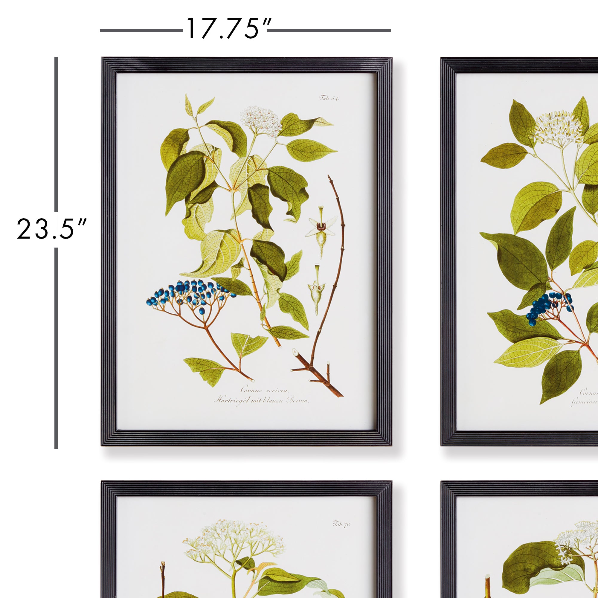 FLORAL AND BERRY STUDY, SET OF 4 - view 3