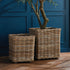 HARRISON PLANTERS, SET OF 2 - view 5
