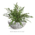 SERENA DECORATIVE BOWL - view 10