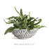 Serena Decorative Bowl - View 11