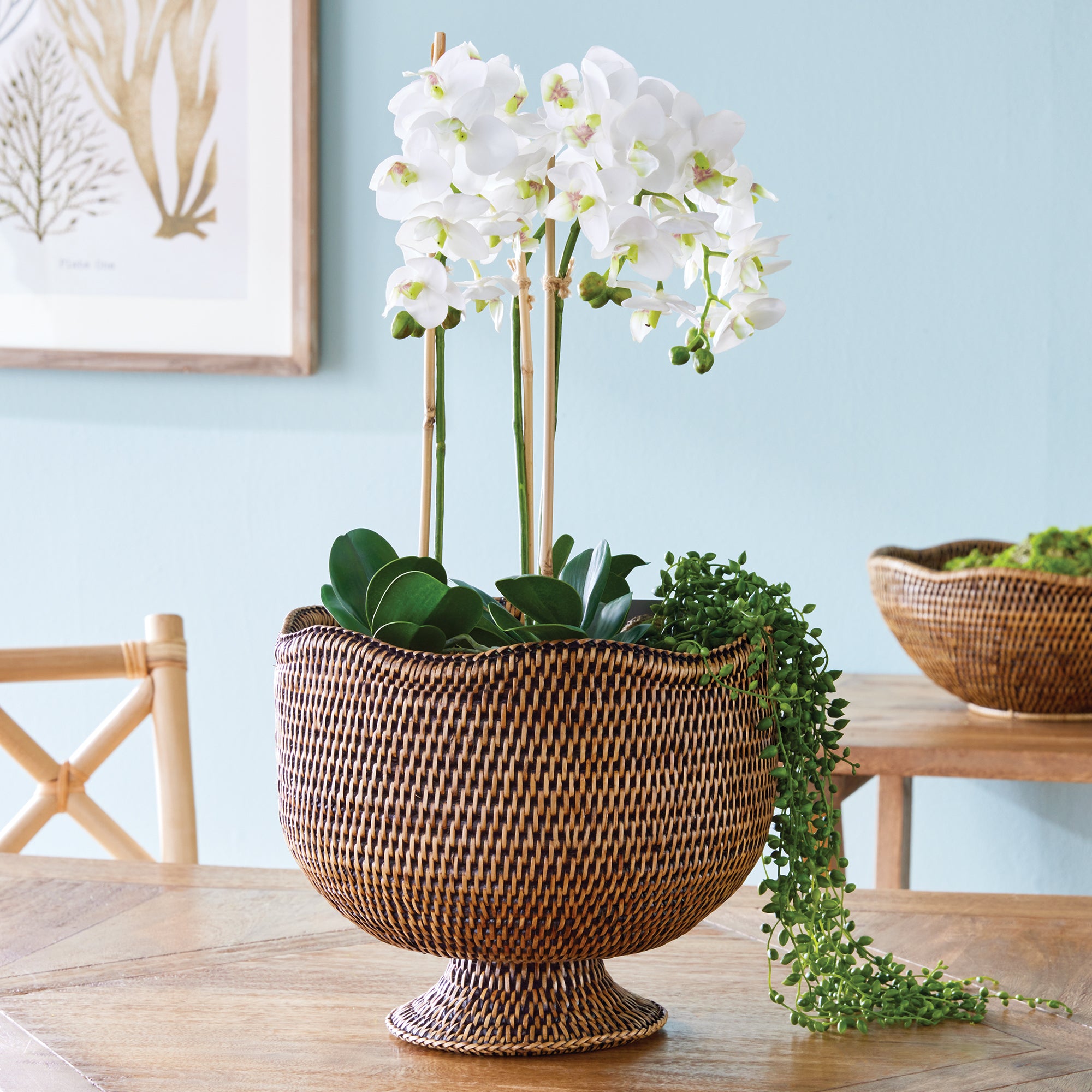 BURMA RATTAN  FOOTED CACHEPOT - view 2