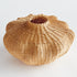 EVREN VASE SHORT - view 2
