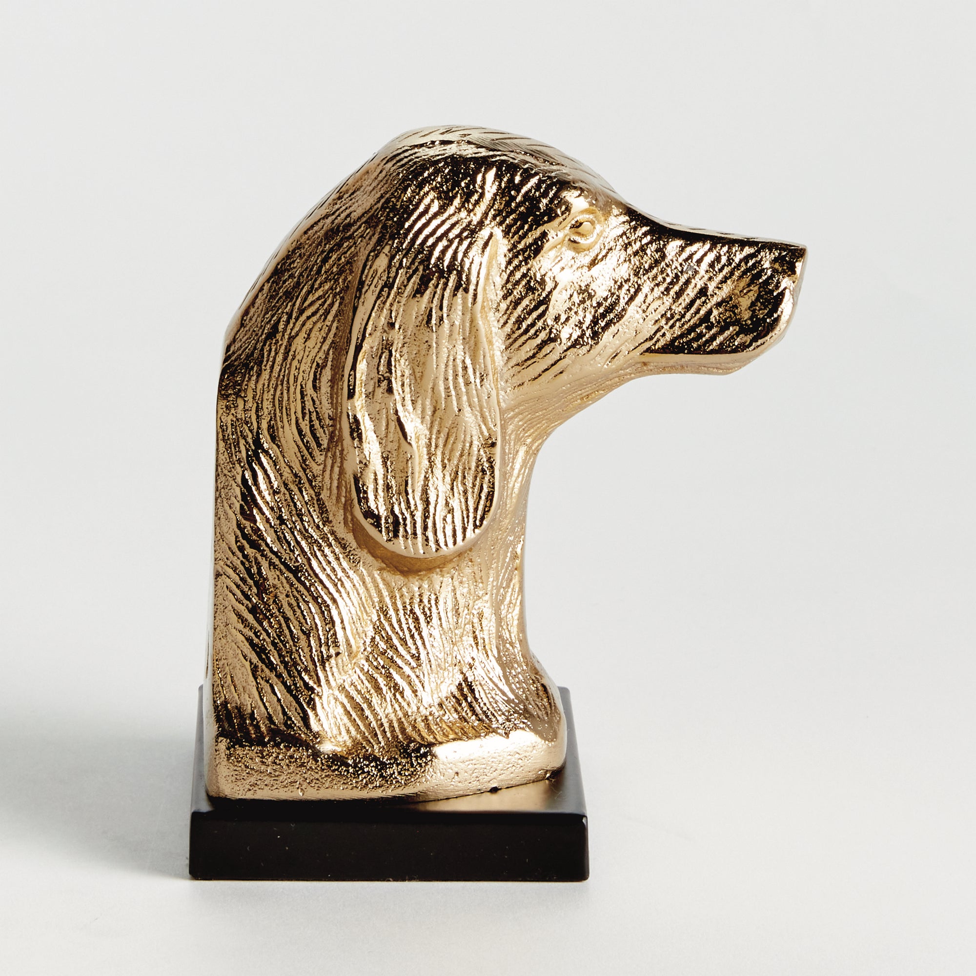 Distinguished Dog Bust Sculpture - View 2