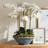 Phalaenopsis Orchid Bowl Drop-In 35" - View 6