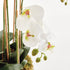 Phalaenopsis Orchid Bowl Drop-In 35" - View 4