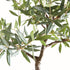 Olive Tree Drop-In 40" - View 3