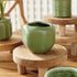 Dezie Mini Pots, Set Of 6 - View 13