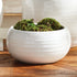 Anderson Decorative Bowl - View 4