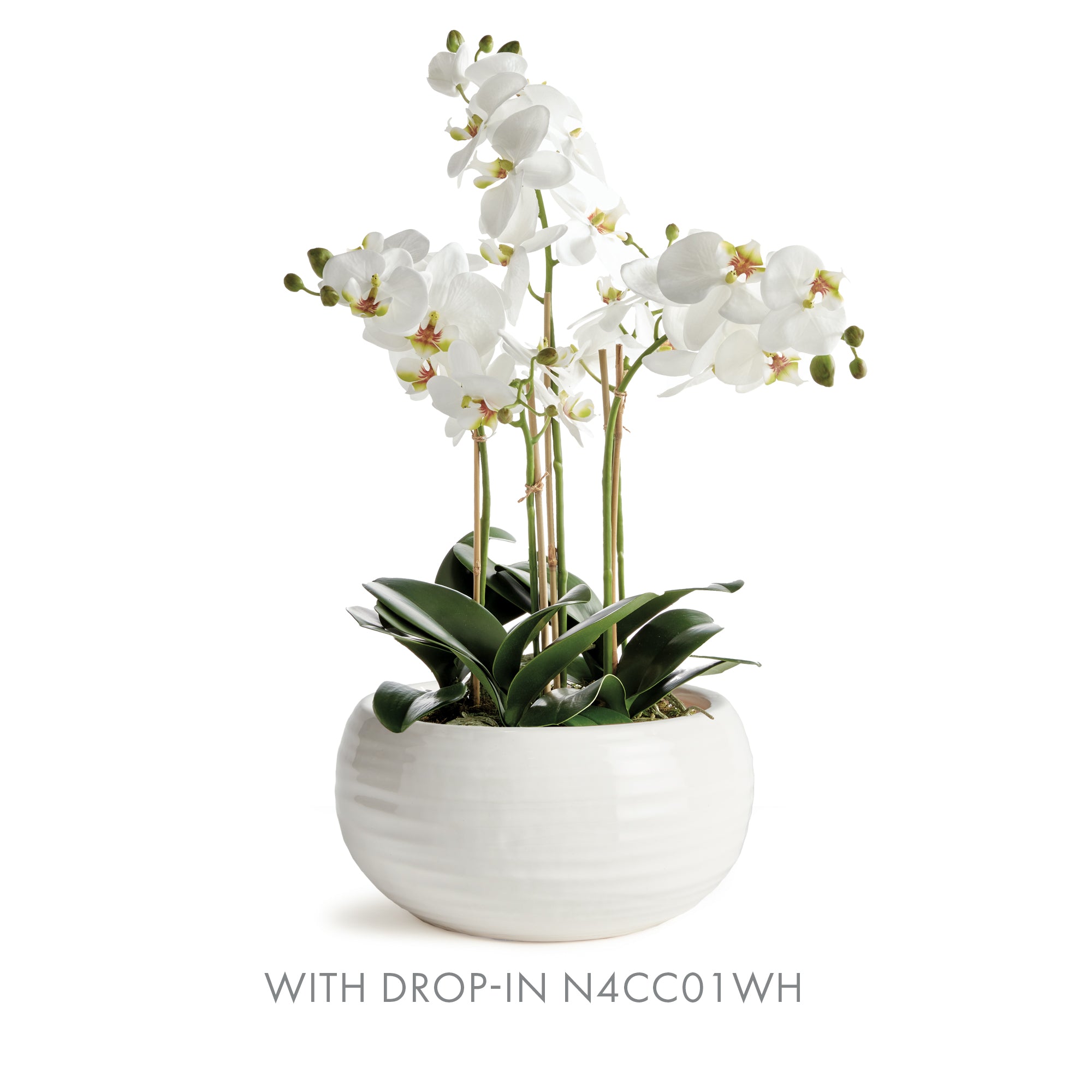 Anderson Decorative Bowl - View 5