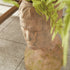 WEATHERED GARDEN MALE BUST PLANTER - view 11