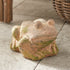 WEATHERED GARDEN FROG - view 5