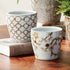 Province Mini Flower Pots, Set Of 6 - View 11