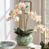 Imperial Lotus Planter Small - View 5