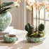 Imperial Lotus Low Pots, Set Of 2 - View 7