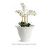 BARCLAY BUTERA SORRENTO DECORATIVE BOWL TALL - view 7