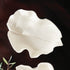 Moricento Leaf Sculpture Small - View 6