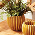 Nikko Pot Large - View 4