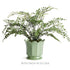 MALINE FOOTED  POT LARGE - view 6
