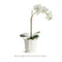 Maline Footed  Pot Large - View 6
