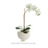 Marianna Pot - View 6
