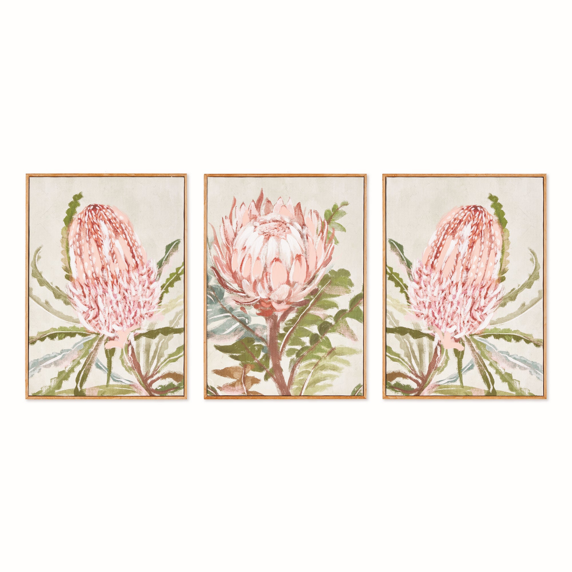 Queen Protea Giclees, Set Of 3