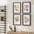 AUTUMNAL FRUIT PRINTS, SET OF 4 - view 5