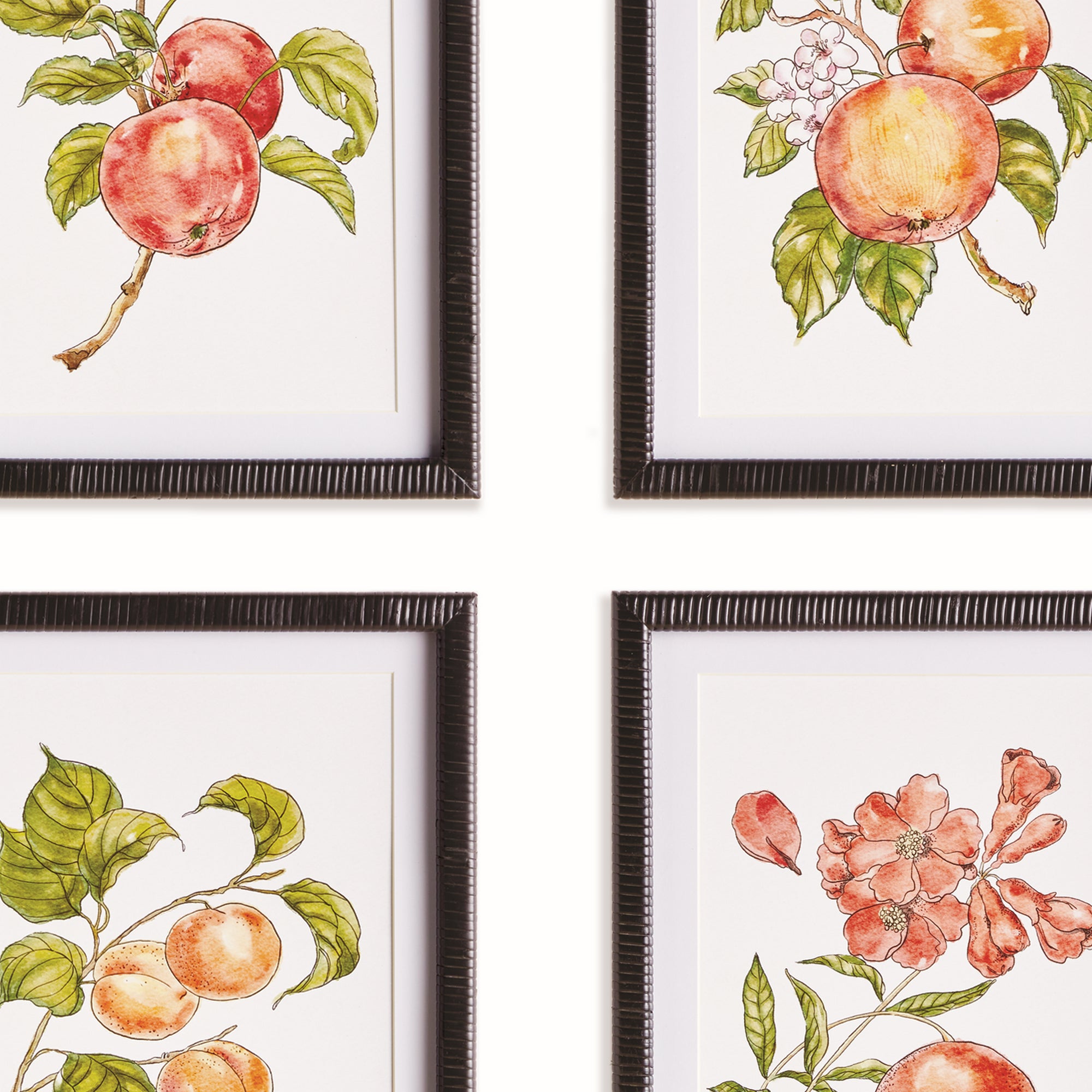 AUTUMNAL FRUIT PRINTS, SET OF 4 - view 3