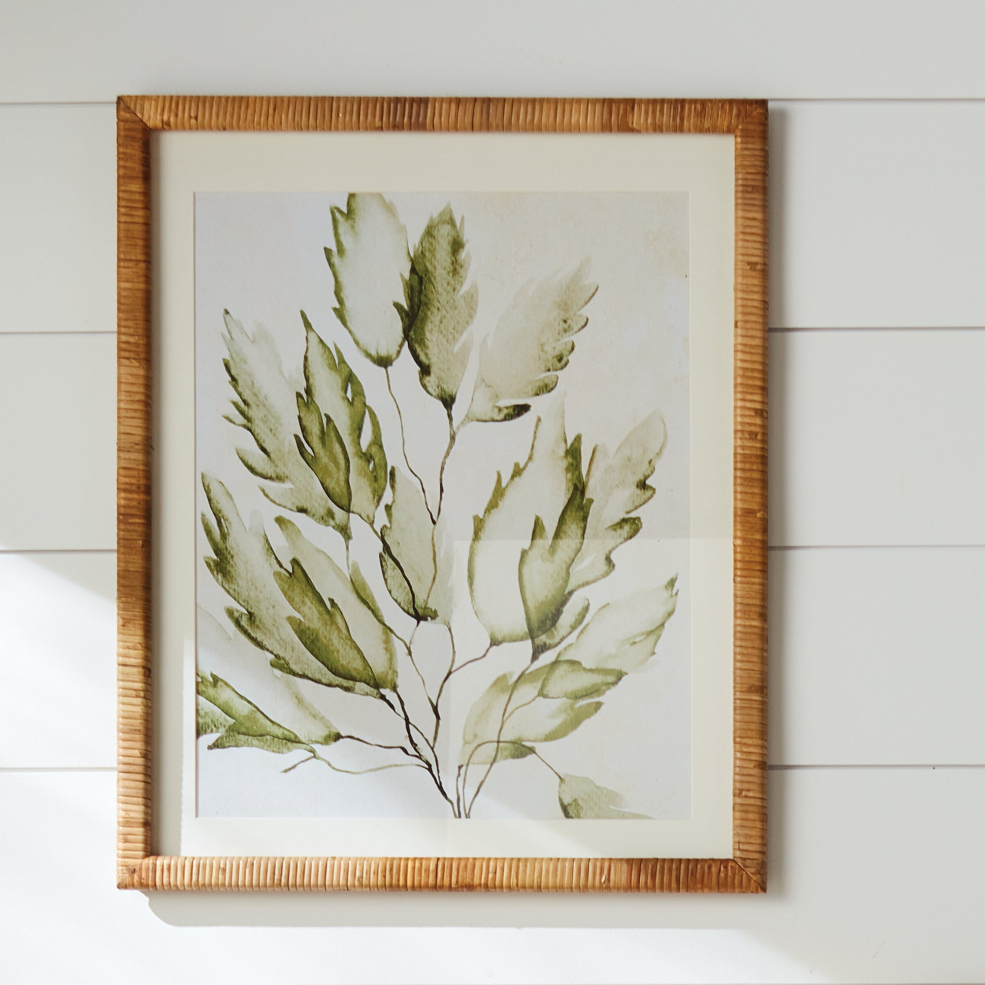 Coastal Greenery Prints, Set Of 4 - View 5