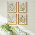 COASTAL GREENERY PRINTS, SET OF 4 - view 5