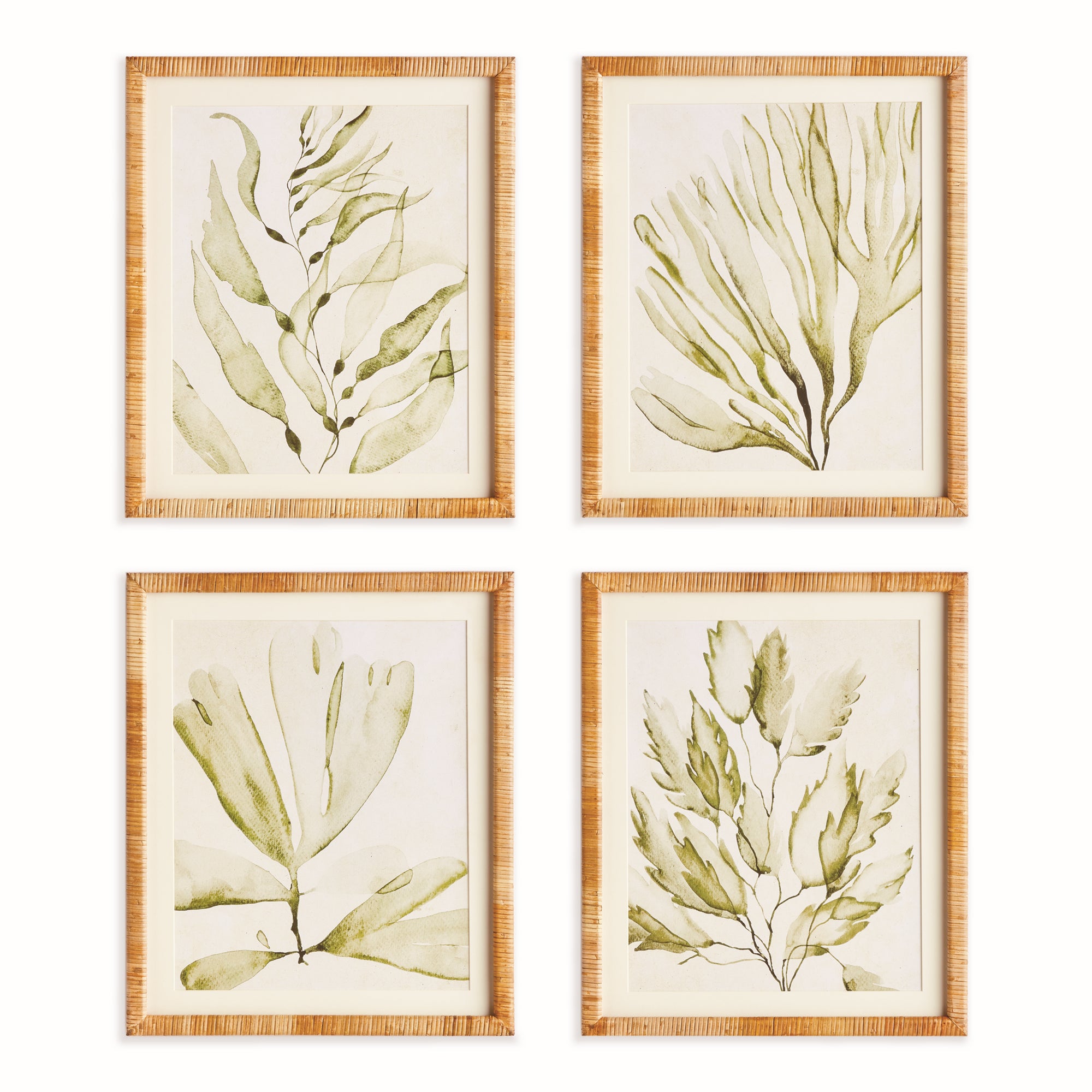 Coastal Greenery Prints, Set Of 4
