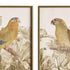 Tropical Parrot Prints, Set Of 2 - View 3