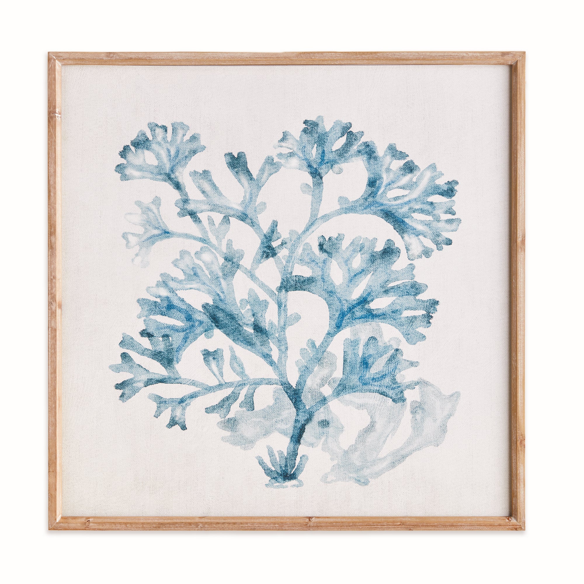 TRANSLUCENT CORAL PRINT