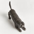 Playful Dog Sculpture - View 4