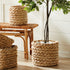 Abaca French Braid Storage Baskets Round, Set Of 2 - View 5